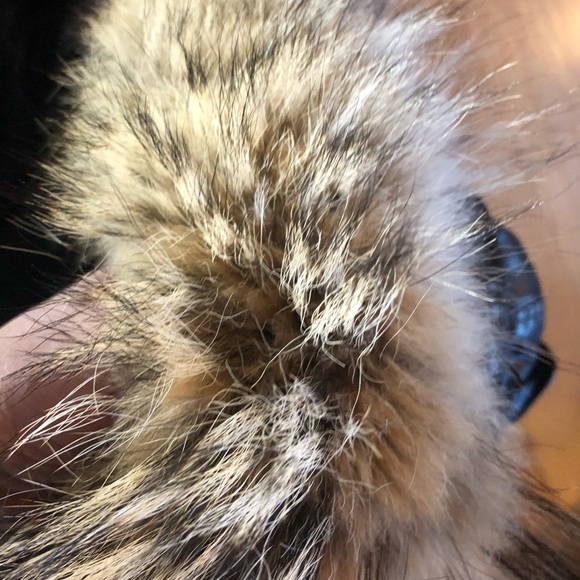 SAM waxed canvas parka with real fur - Picture 9 of 9